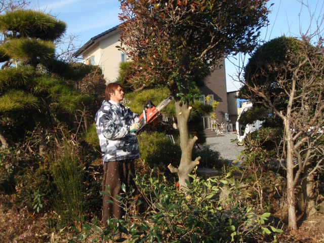 丁寧な伐採の様子