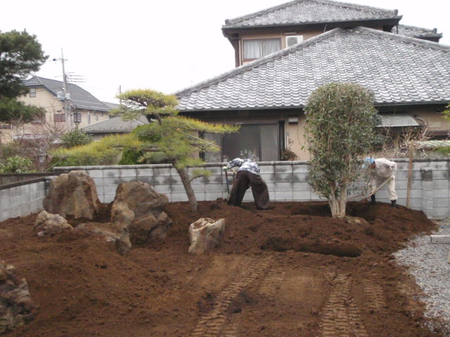 既存の松を真木に