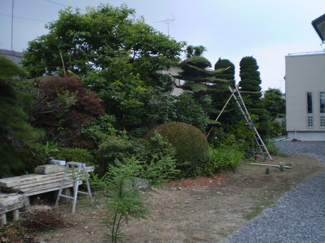 佐野市Y様邸 着工前の庭。大切に育てられた樹木が溢れる。