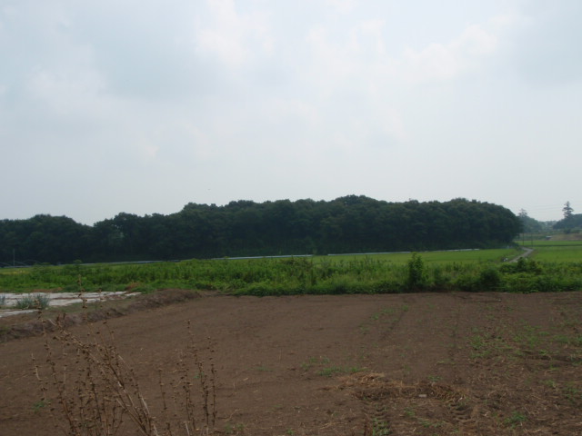 周囲の自然環境