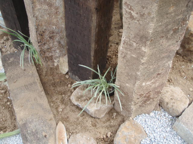 伊勢崎市T様邸 門柱前の斑入りヤブラン