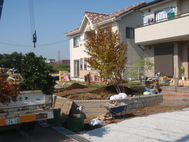 厳選された雑木の本株