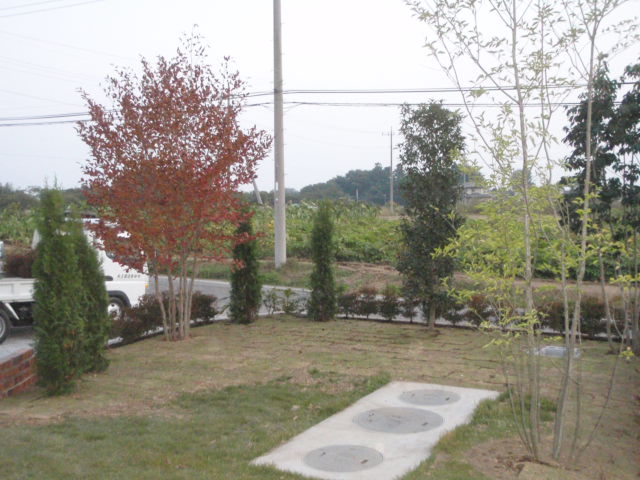 平らな芝生スペース