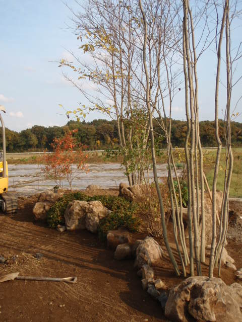 小さな島の造作